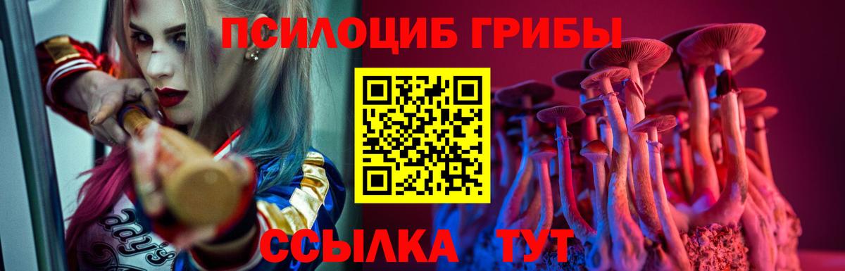 Псилоцибиновые грибы GOLDEN TEACHER  Вход с VPN  Назарово  Галлюциногенные грибы Magic Shrooms 